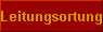  Leitungsortung 